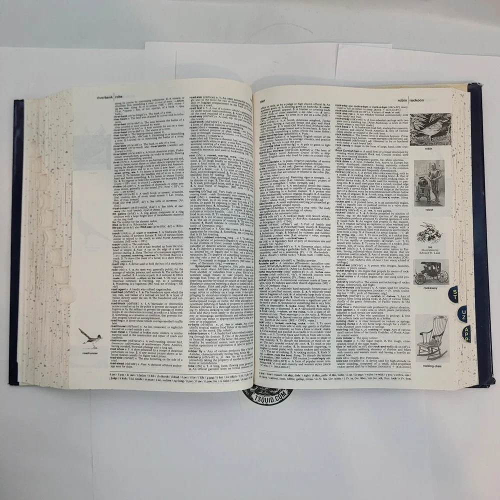 Houghton Mifflin American Heritage Dictionary Second College Edition Hardcover